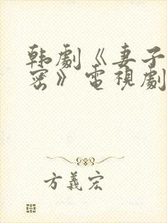 韩剧《妻子的秘密》电视剧全集