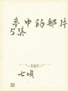 梦中的那片海15集封面