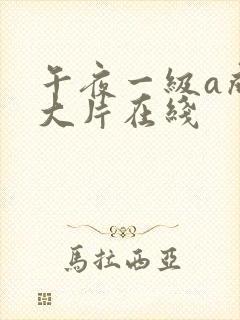 午夜一级a成年大片在线