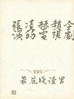 张凌赫赵今麦主演的电视剧