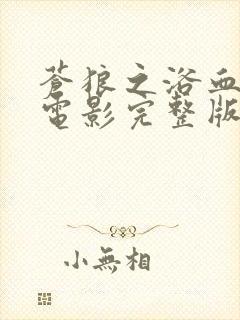 苍狼之浴血绝杀电影完整版封面