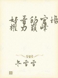 好看的官场小说权力巅峰