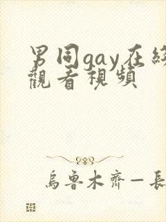 男同gay在线观看视频