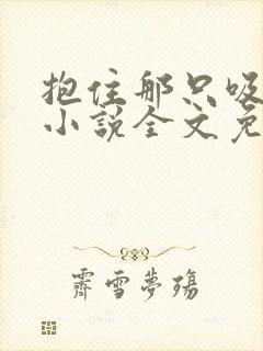 抱住那只吸血鬼小说全文免费阅读封面