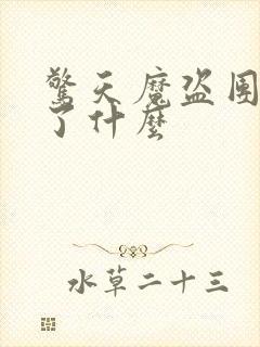 惊天魔盗团2讲了什么封面