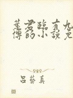 叶君临有九个师傅的小说免费阅读无弹窗