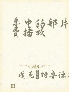 梦中的那片海免费播放封面