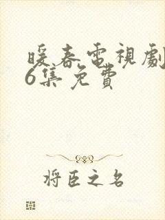 暖春电视剧全26集免费