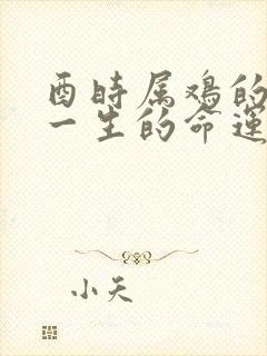 酉时属鸡的女人一生的命运封面