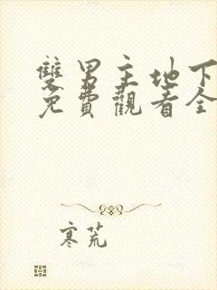 双男主地下偶像免费观看全集动漫