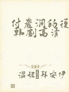 付岩洞的复仇者 韩剧高清