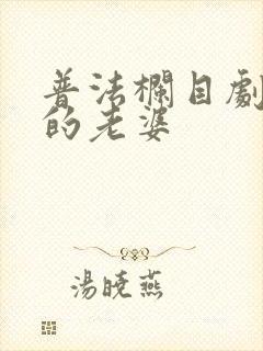 普法栏目剧兄弟的老婆