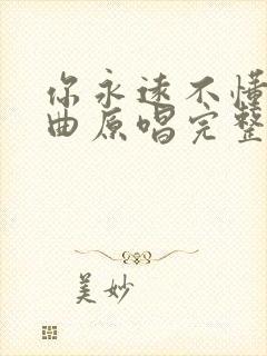 你永远不懂我歌曲原唱完整版