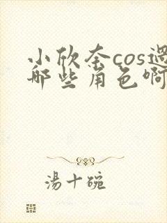 小欣奈cos过哪些角色啊