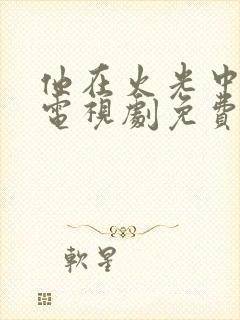 他在火光中走来电视剧免费观看全集