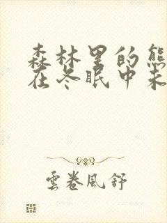 森林里的熊先生在冬眠中未减版