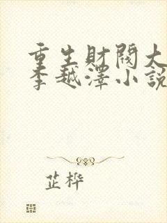 重生财阀大少爷李越泽小说原著封面