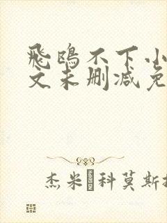 飞鸥不下小说全文未删减免费阅读封面