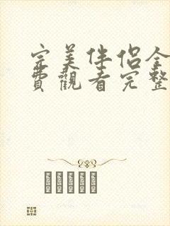 完美伴侣全集免费观看完整版