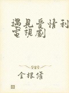 遇见爱情利先生电视剧