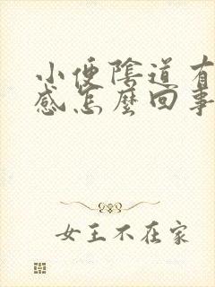 小便阴道有灼热感怎么回事封面