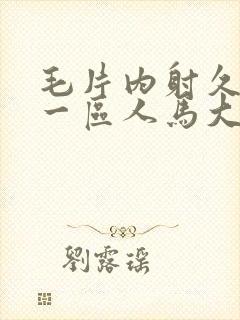 毛片内射久久久一区人马大