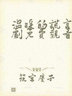 温暖的谎言电视剧免费观看全集封面