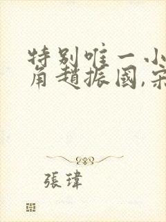 特别唯一小说主角赵振国,宋婉清封面