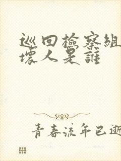 巡回检察组5个坏人是谁