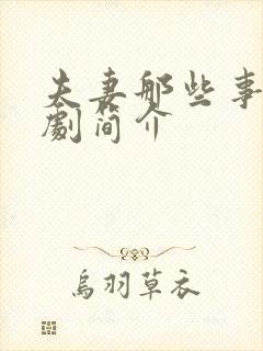 夫妻那些事电视剧简介