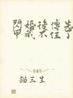 闪婚后傅先生马甲藏不住了10封面