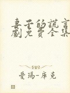 妻子的谎言电视剧免费全集完整版