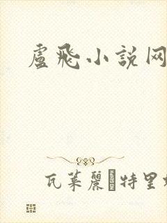 卢飞小说网