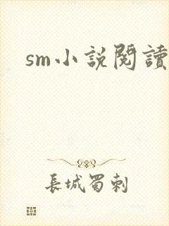 sm小说阅读