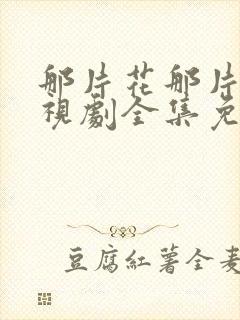 那片花那片海电视剧全集免费观看