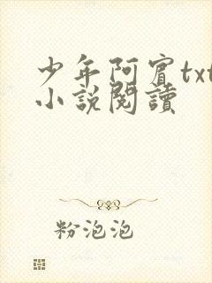 少年阿宾txt小说阅读封面