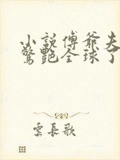 小说傅爷夫人又惊艳全球了