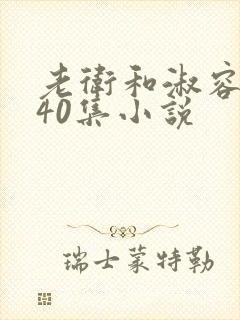 老卫和淑容1-40集小说封面