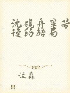 沈砚舟宁若曦最后的结局封面