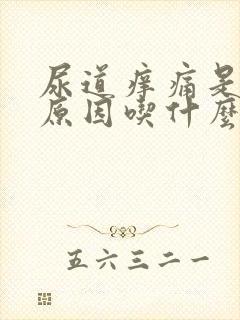 尿道痒痛是什么原因吃什么好