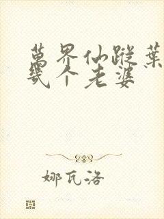 万界仙踪叶星云几个老婆