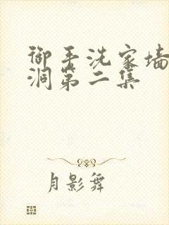 御手洗家墙壁破洞第二集