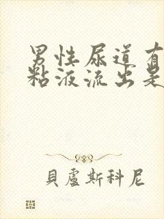 男性尿道有白色粘液流出是什么原因