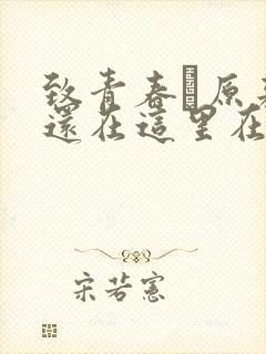 致青春·原来你还在这里在线观看封面