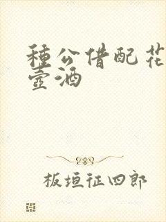 种公借配花间一壶酒封面