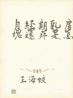 月经期乳房有硬块还疼是怎么回事