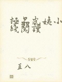 极品岚姨小说在线阅读