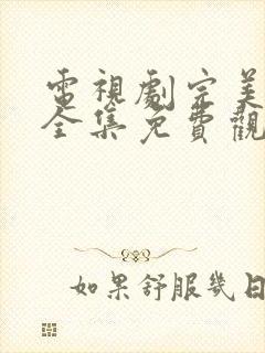 电视剧完美伴侣全集免费观看