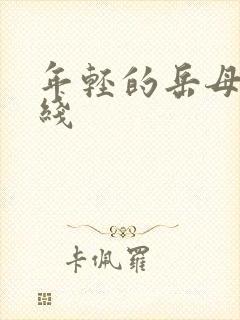 年轻的岳母2在线