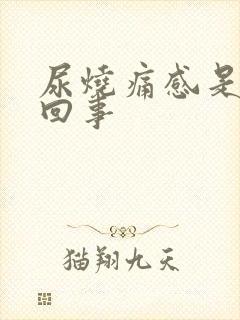 尿烧痛感是怎么回事